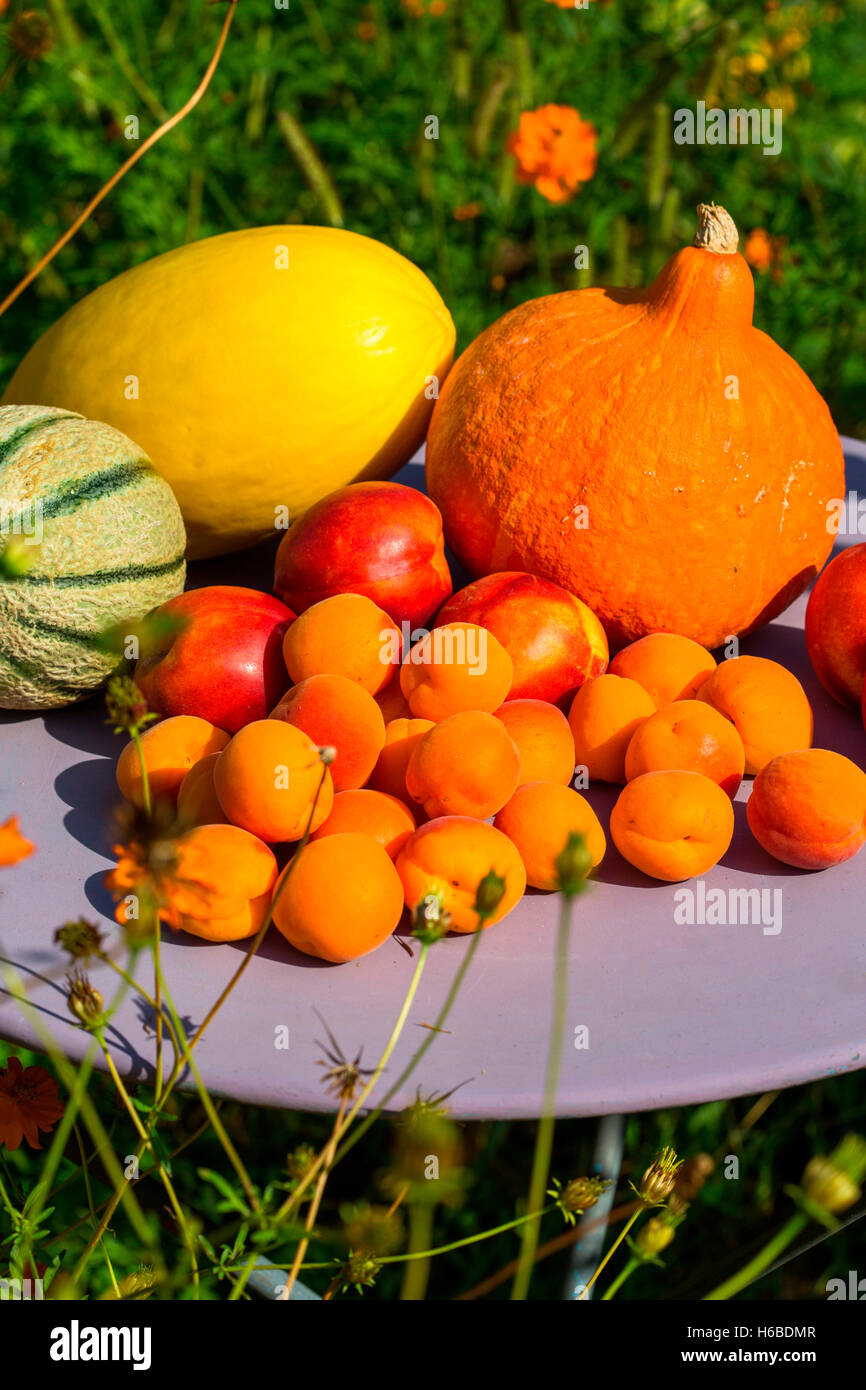 Mixed summer fruits and vegetables, Provence, France Stock Photo Alamy