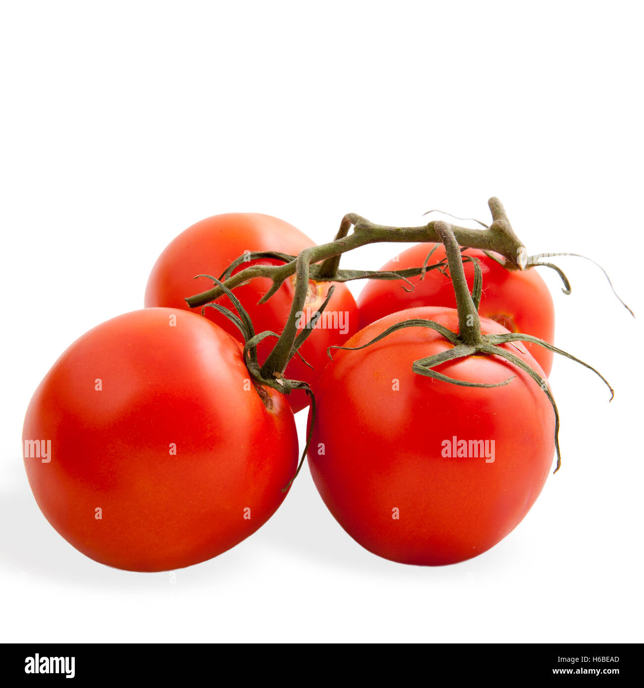 Tomatoes on the white background Stock Photo