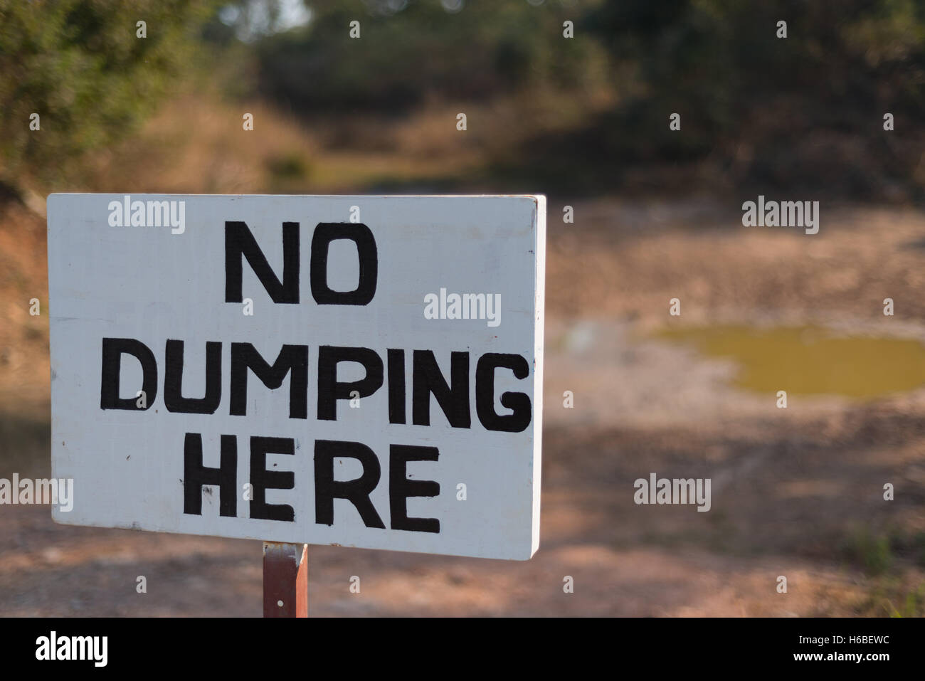 Sign stating no dumping here in front of a clearing with pond Stock Photo