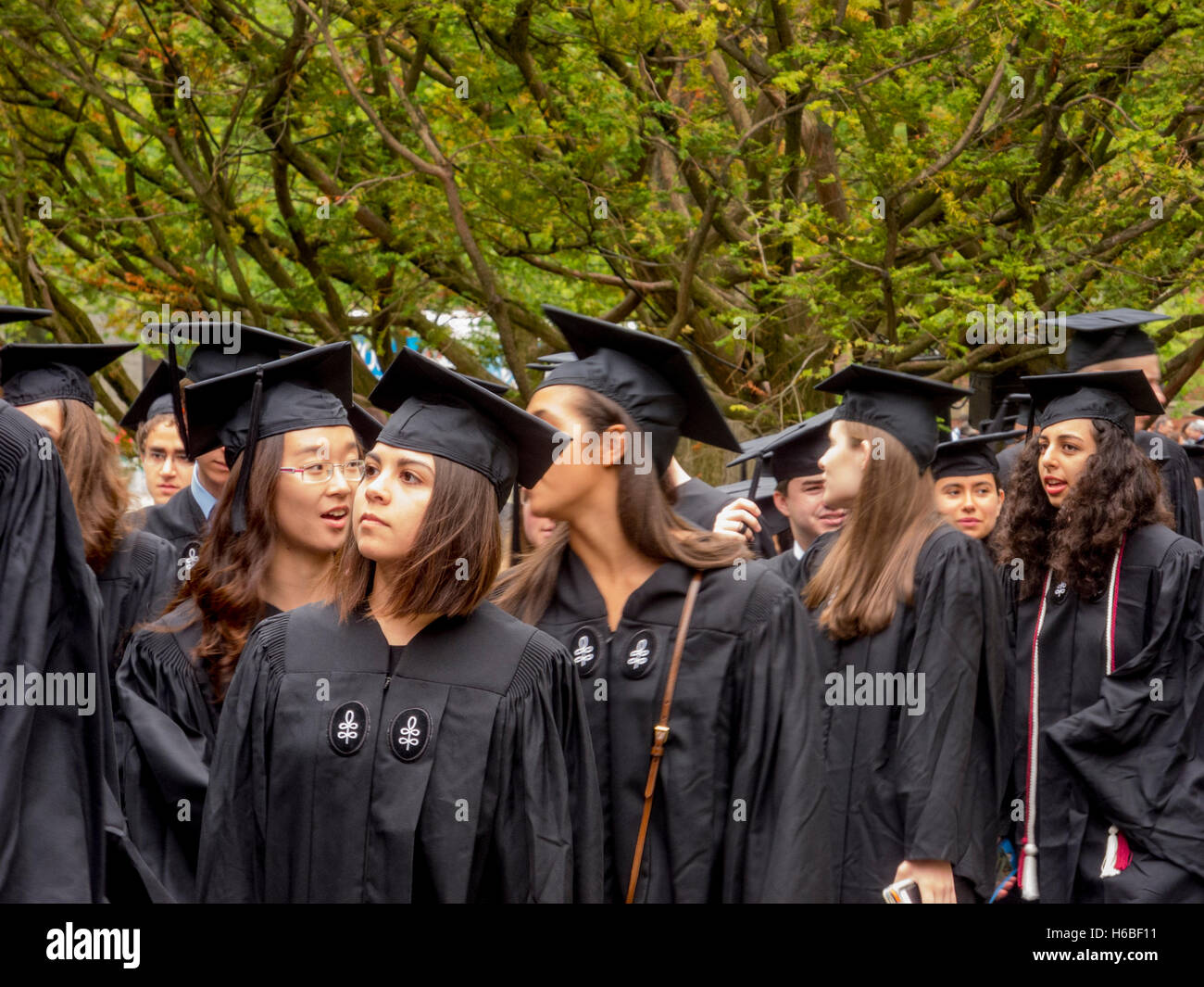 Wearing graduation caps and gowns, multiracial Harvard University graduates  form a procession in Harvard Yard in Cambridge, MA Stock Photo - Alamy