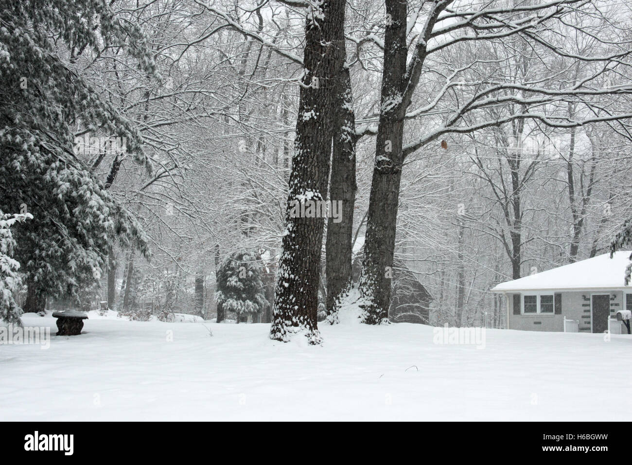 Winter landscape in suburbs, after snow storm Stock Photo - Alamy