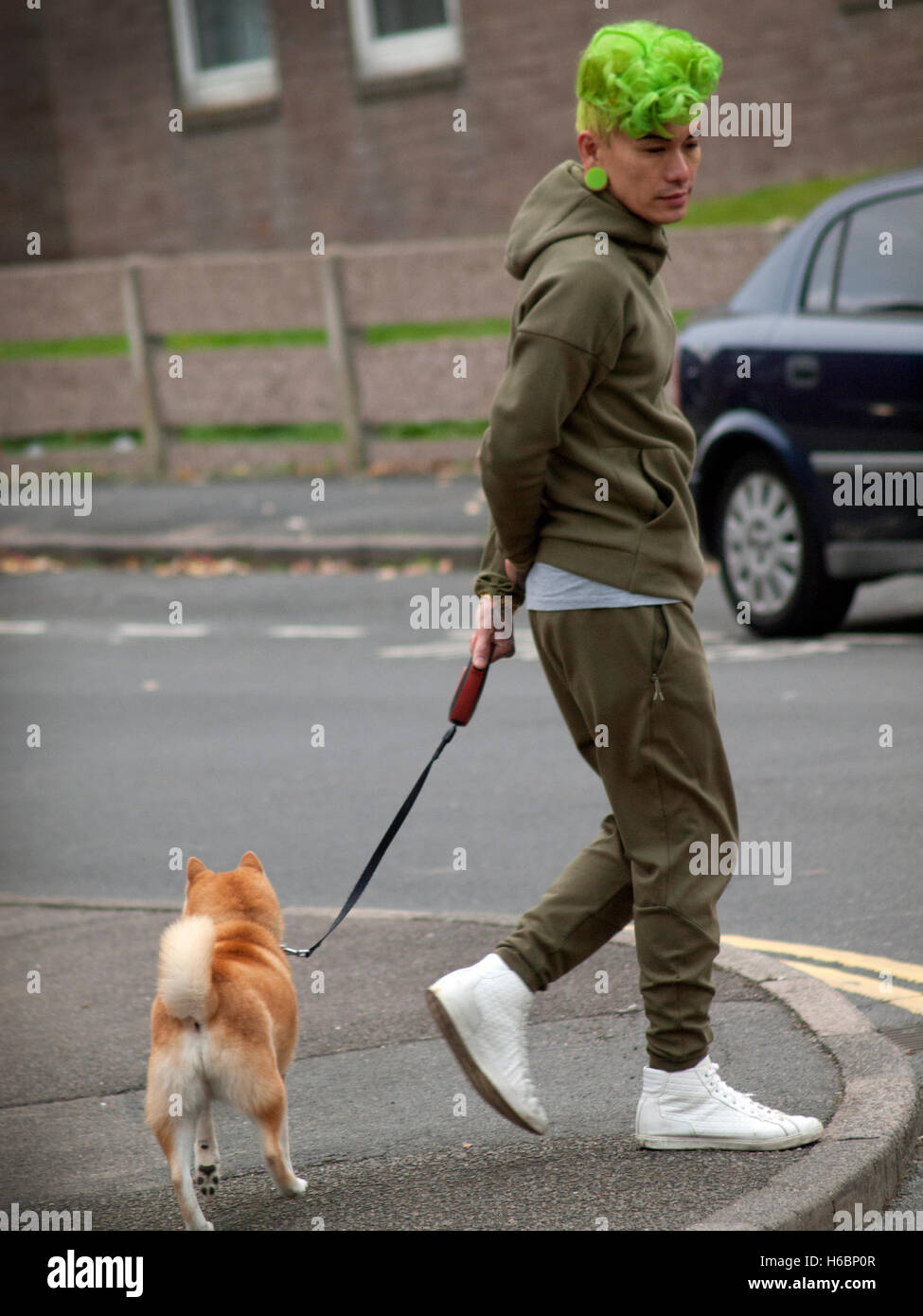 In Brighton a man with green hair takes his dog for a walk Stock Photo