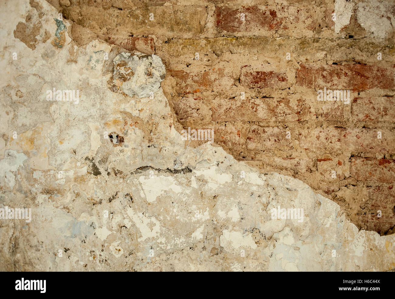 grunge wall, highly detailed textured background Stock Photo