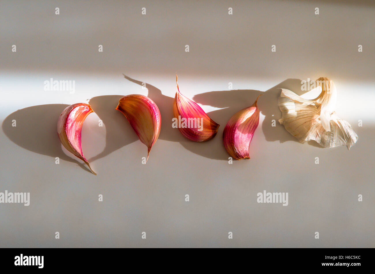 Garlic cloves on a white background in sunlight Stock Photo
