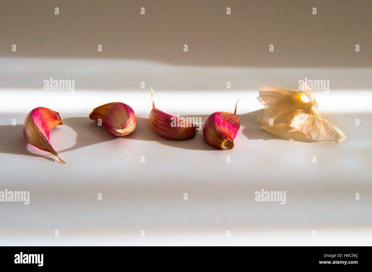 Garlic cloves on a white background in sunlight Stock Photo