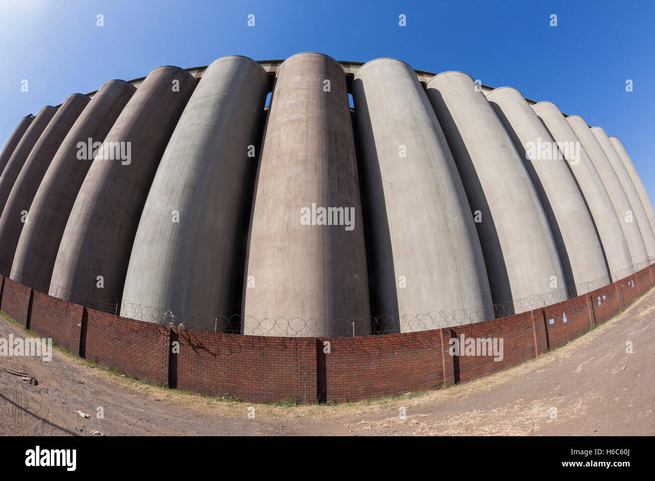 Grain silos concrete structure agriculture farming food closeup  photo wide angle curved detail Stock Photo