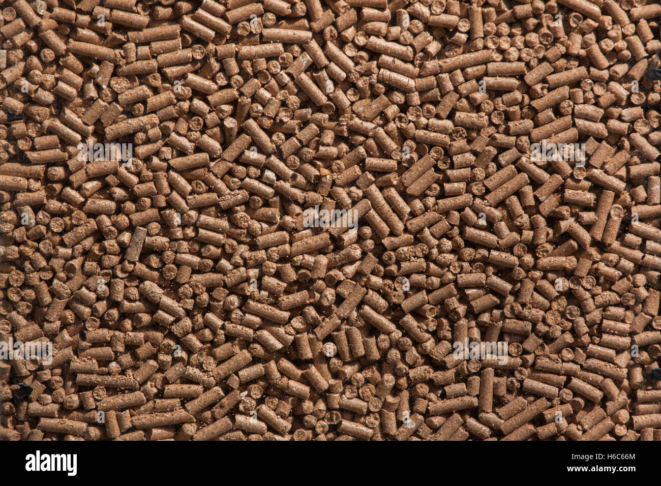 Animal food pellets. Background texture. Stock Photo