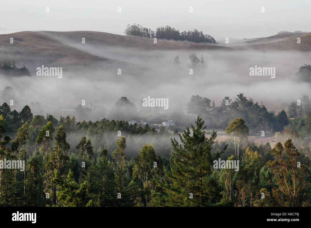 Morning fog rolling in on the hills above the houses Stock Photo - Alamy