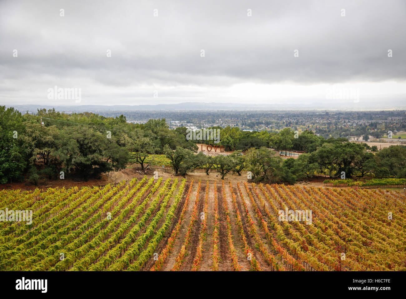 Russian river winery hi-res stock photography and images - Alamy