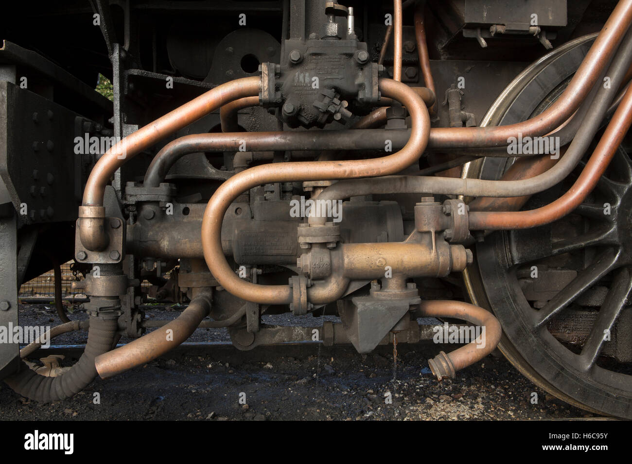 Complicated brass pipework on a vintage steam engine. Pumps and plumbing on an oily machine Stock Photo