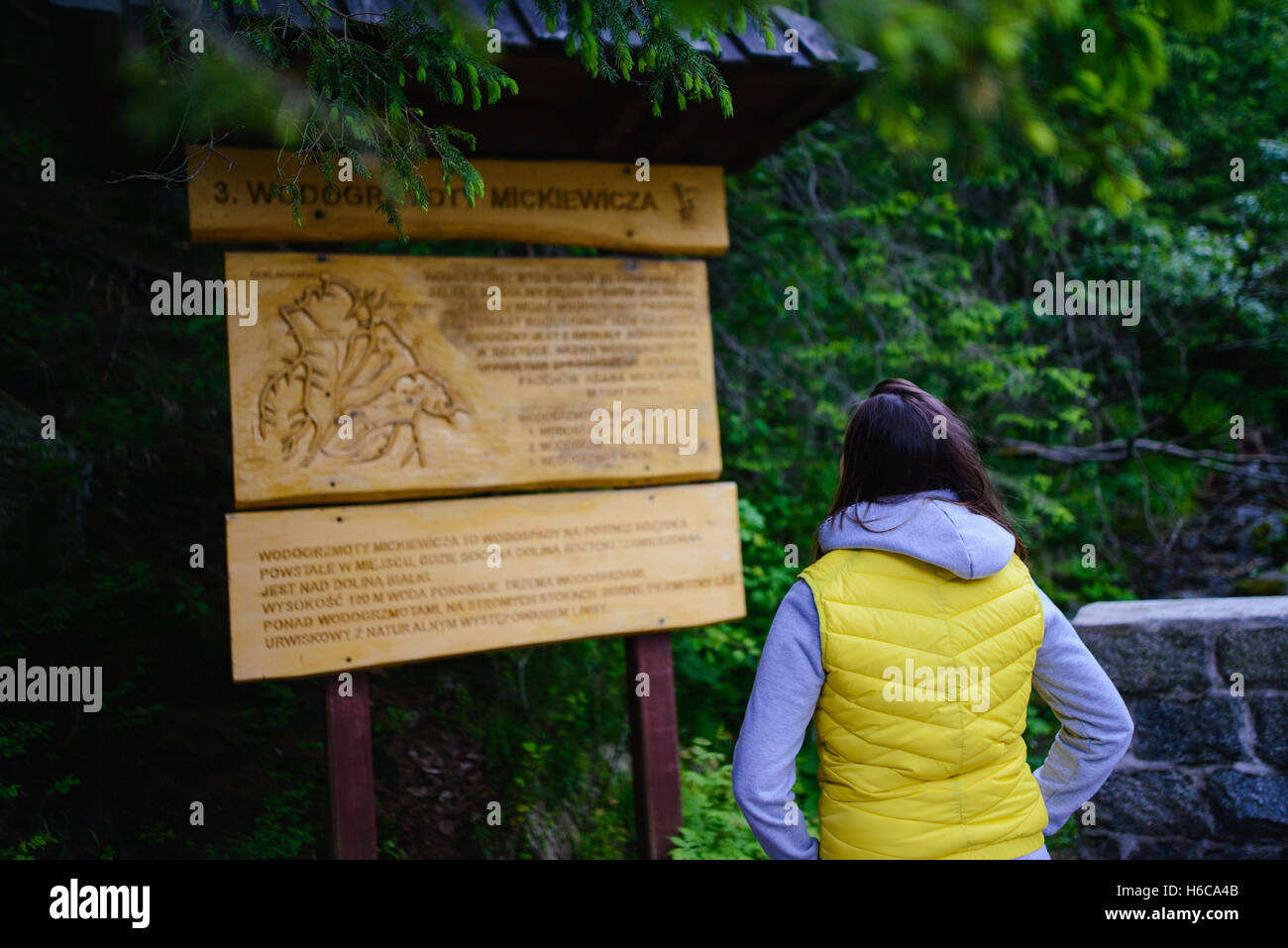 Female tourist standing on forest road looking at the information wooden board Stock Photo