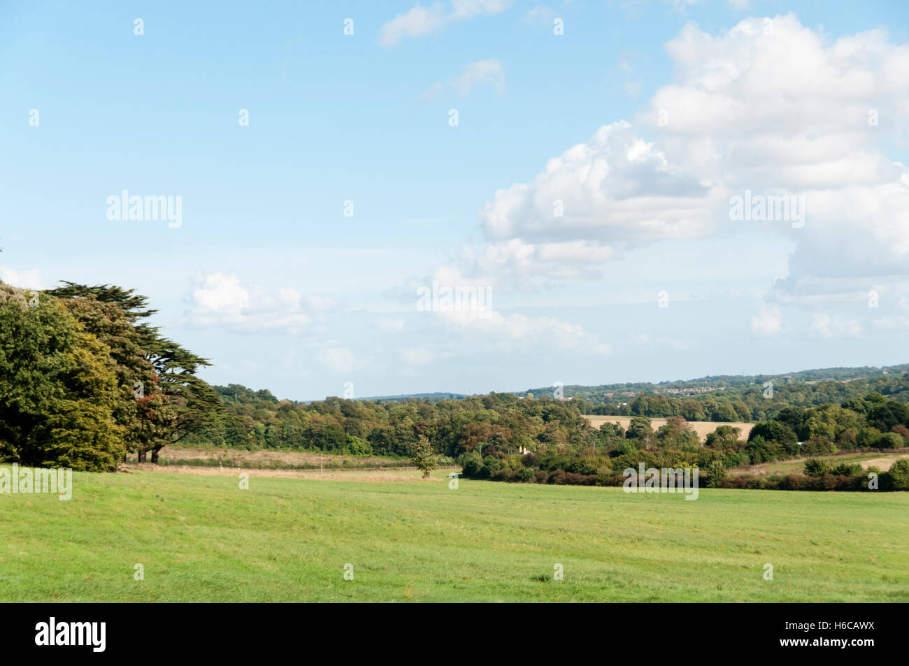 Green belt land to the south of London near Downe in Kent Stock Photo