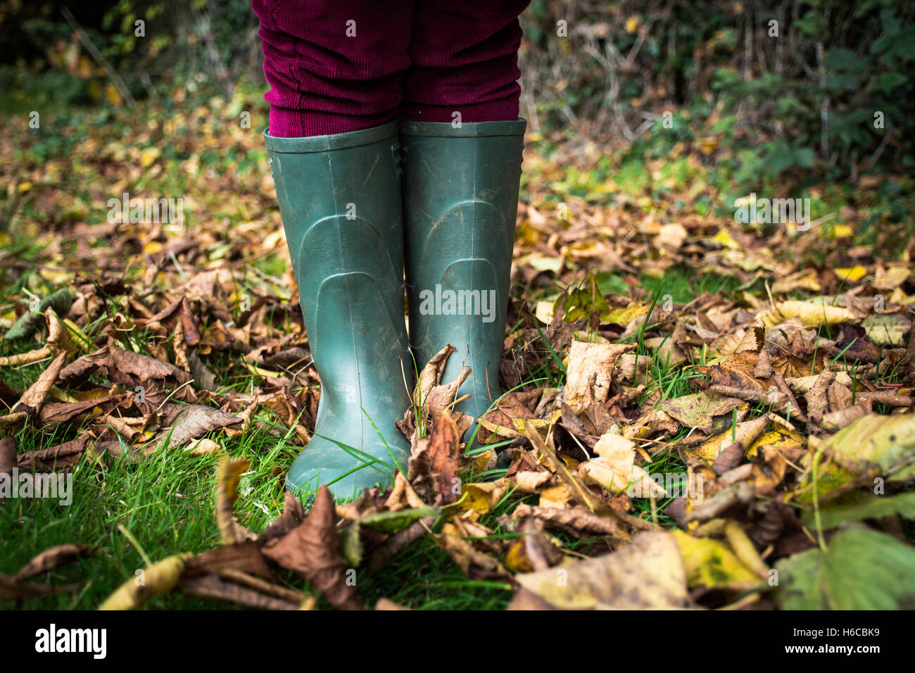wellies in leaves Stock Photo