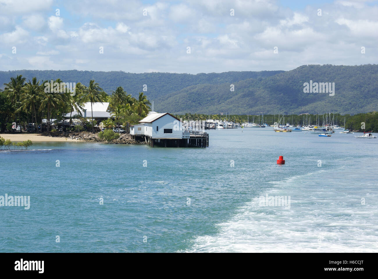 Boats in harbour at tropical Port Douglas, Australia Stock Photo
