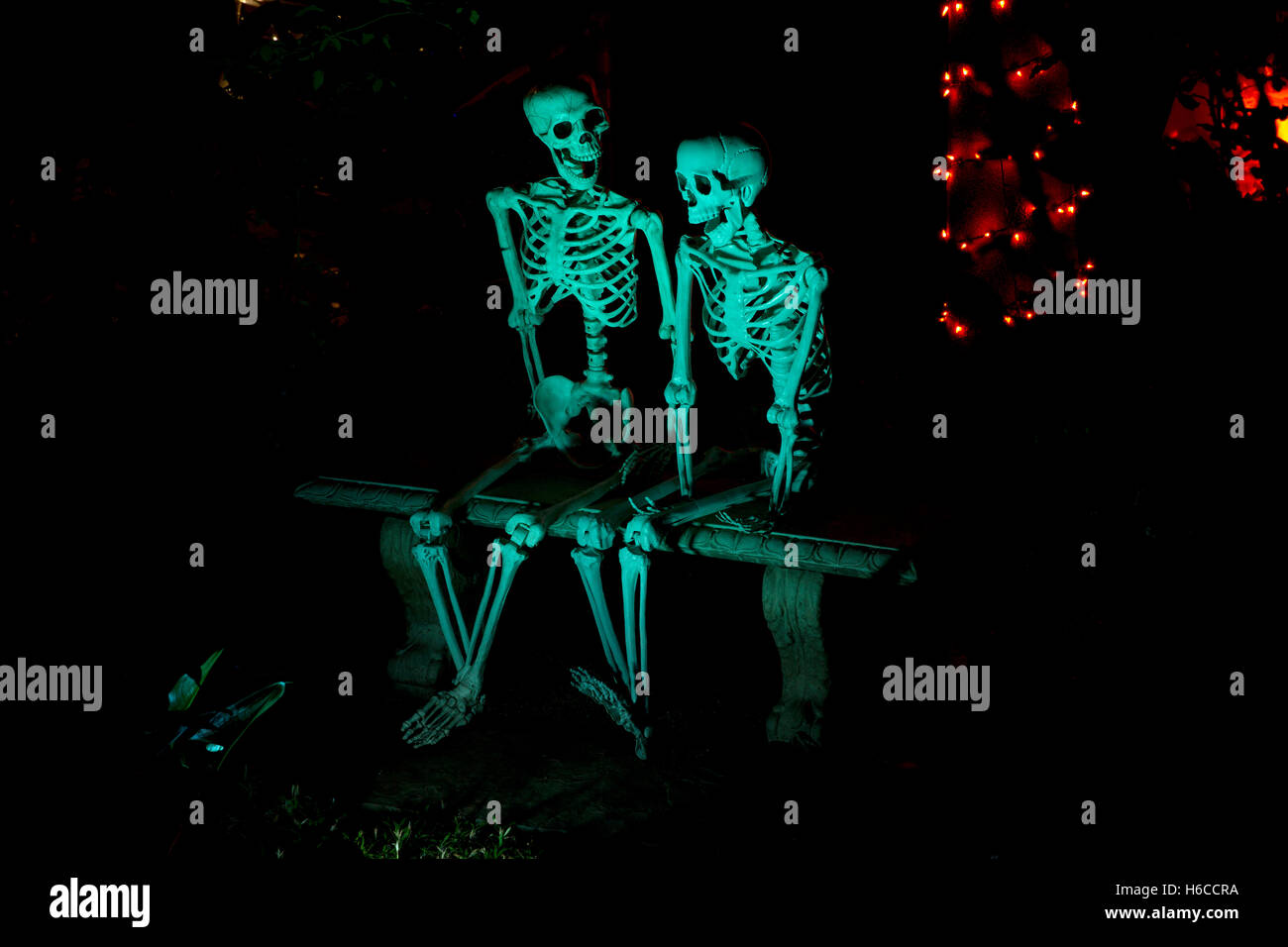 Two skeletons as part of a Halloween decoration. Stock Photo
