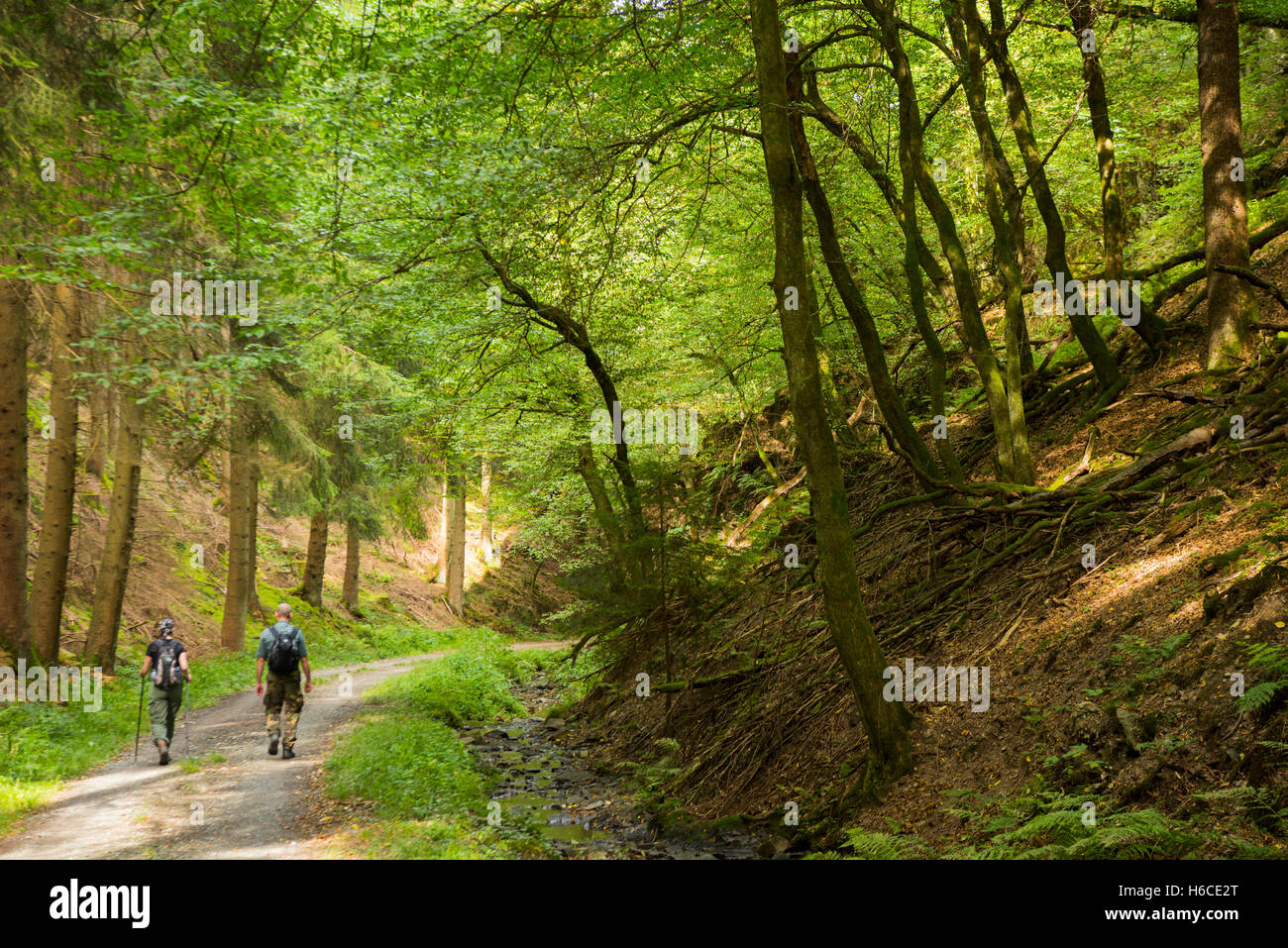 Wandern naturschutzgebiet hires stock photography and images Alamy