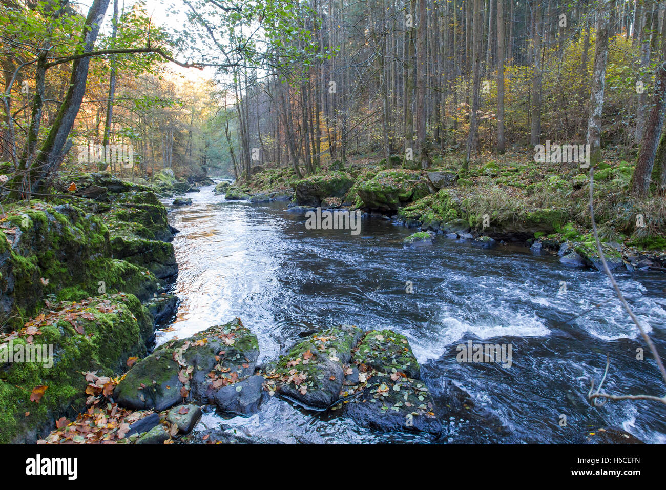 Fluss Ilz im Bayerischen Wald,River Ilz in the Bavarian Forest Stock Photo