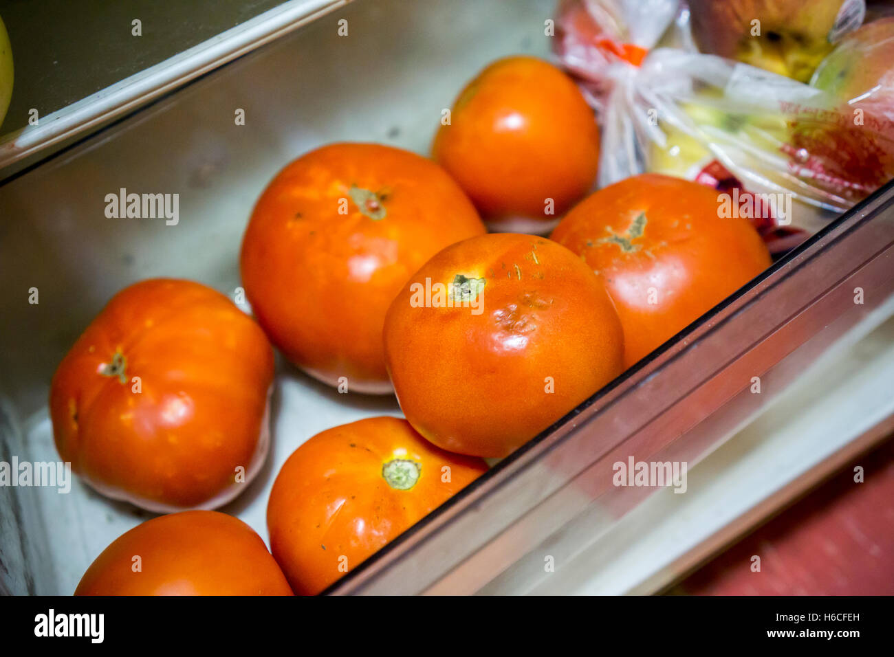 Tomatoes stored in a refrigerator in New York on Wednesday, October 19, 2016. A study by the University of Florida found that the old adage of keeping your tomatoes out of the refrigerator is correct. The report states that cold storage reduces the flavor of the fruit by affecting its genetics.  (© Richard B. Levine) Stock Photo