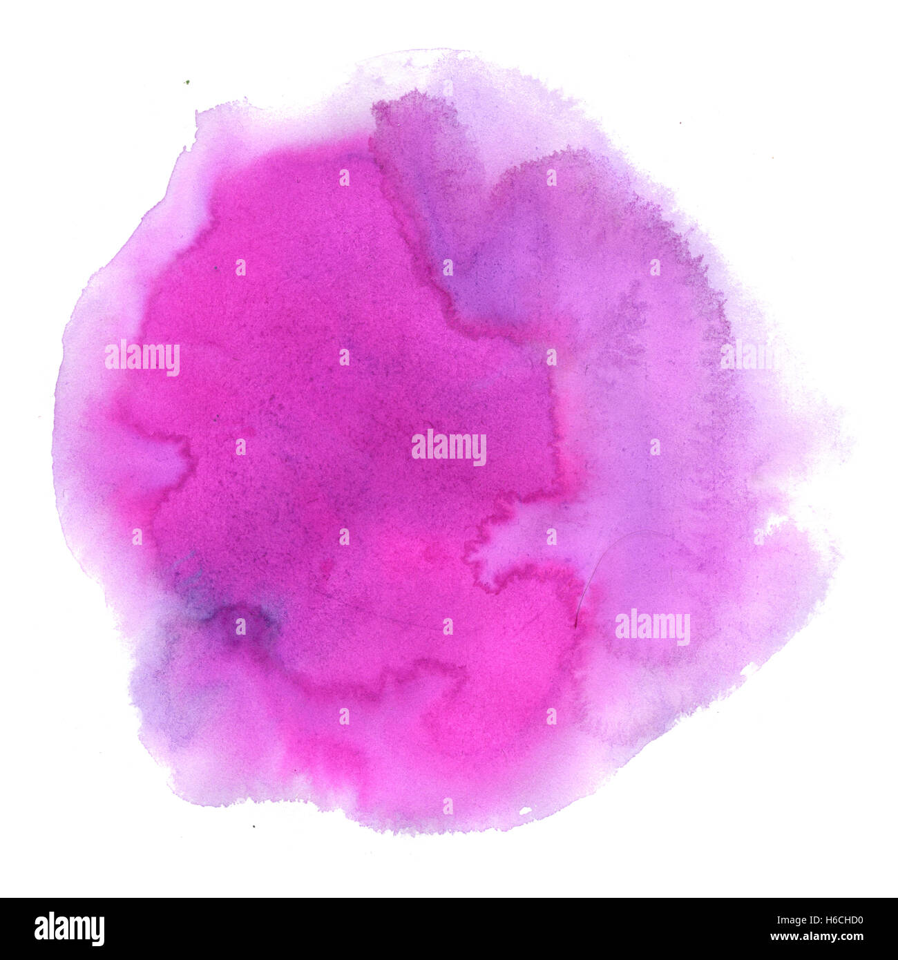 Purple bright watercolor and guache splatters Vector Image