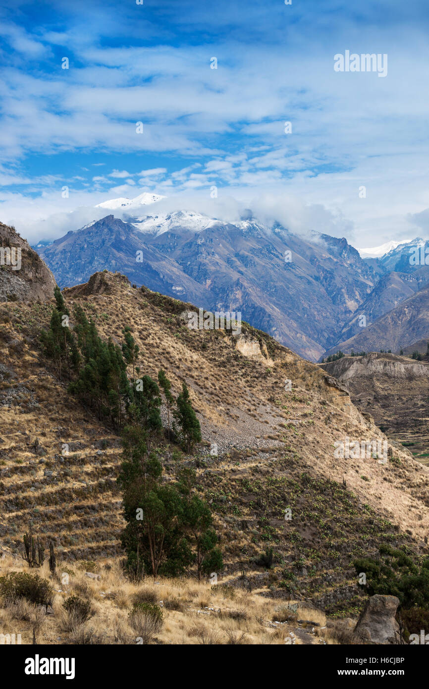 mountain peaks covered with snow in the Andes Stock Photo Alamy