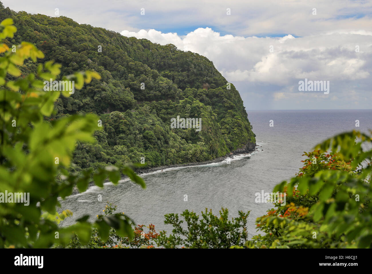 Image of the Hana Highway on Maui taken from a section with only one lane and where the sea meets the jungle. Stock Photo