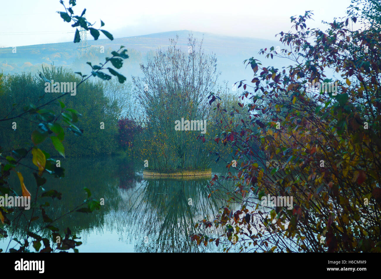 Mist over Filham Park fishing lake, with autumn leaves on a damp ...