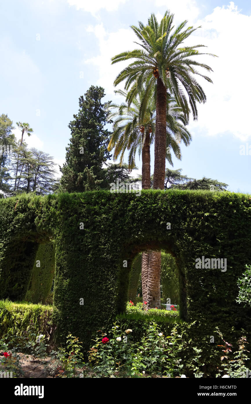 Beautiful garden in Seville Spain Stock Photo Alamy