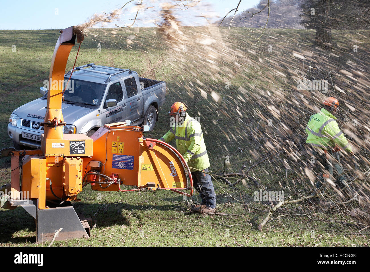 Workmen Shredding trees with a wood chipping machine which have fallen during a storm in the countryside in South Wales, UK. Stock Photo