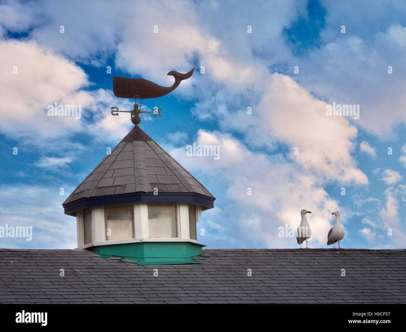 Seagulls on roof top with whale weather vain. Fisherman's Wharf. Monterey, California Stock Photo