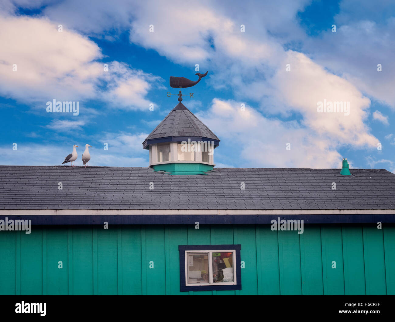 Seagulls on roof top with whale weather vain. Fisherman's Wharf. Monterey, California Stock Photo