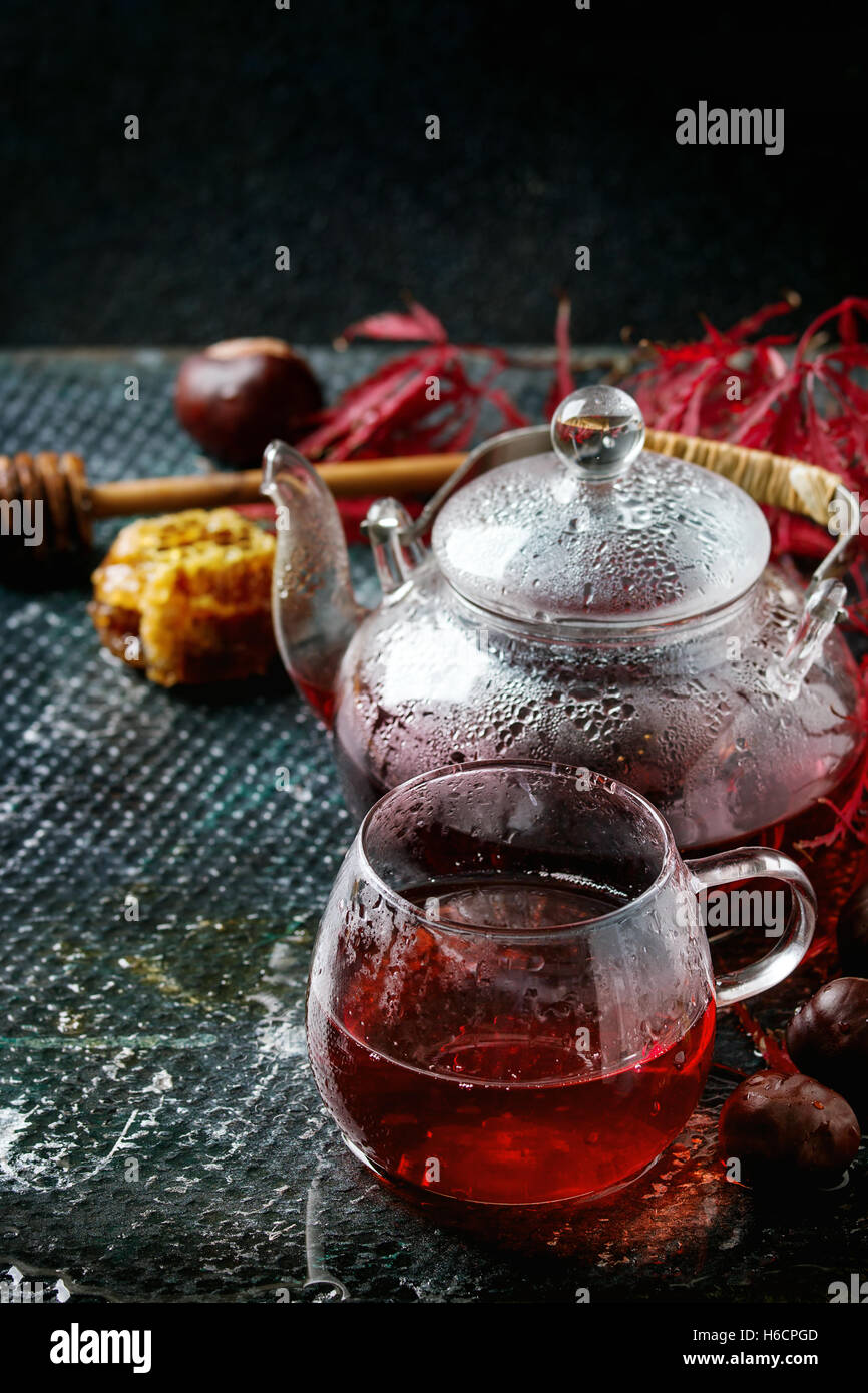 Autumn red hibiscus tea Stock Photo