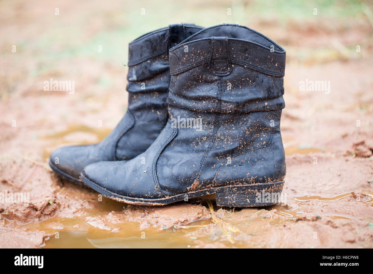 Cowgirl Boots In The Mud Stock Photo