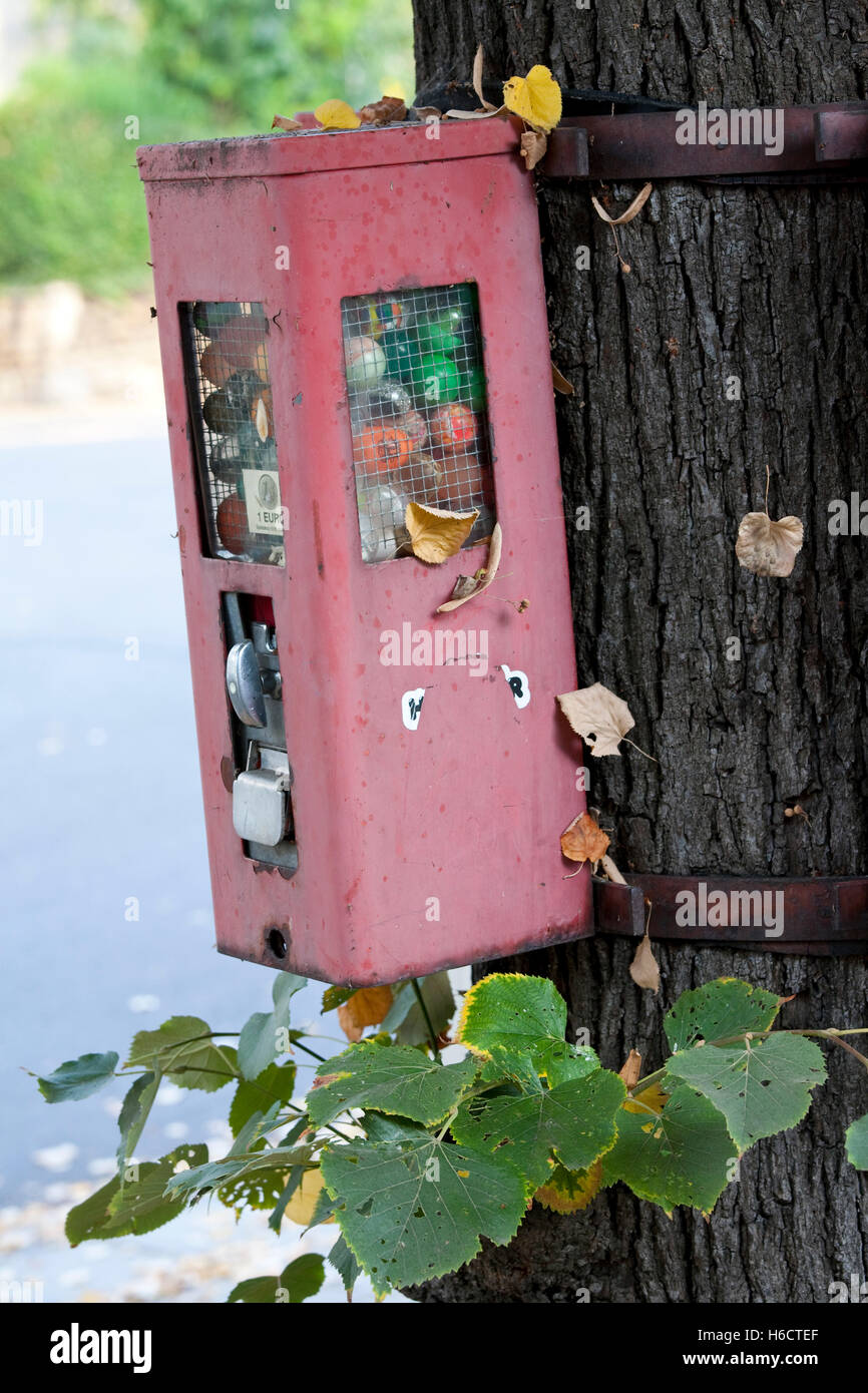 Old gumball machine on a tree, surprise, nostalgia, memories Stock Photo