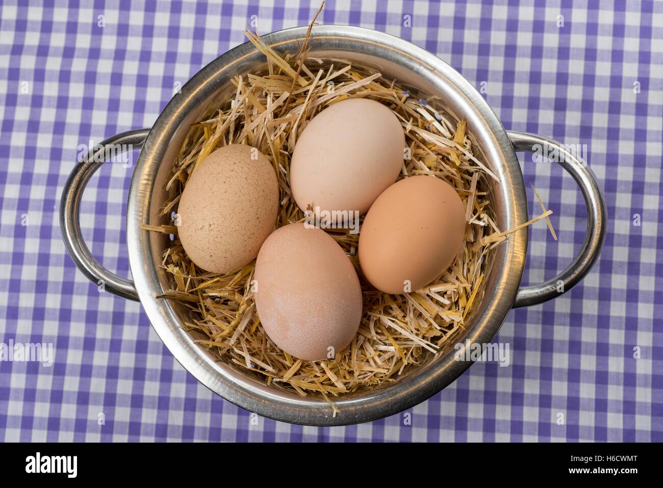 Freash home produced free range chickens eggs. Stock Photo