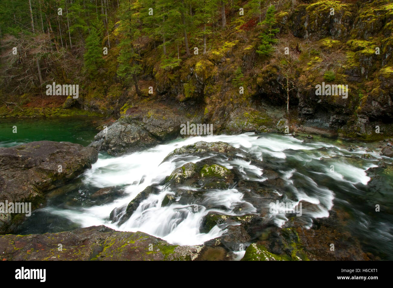 Little North Fork Santiam River State Scenic Waterway, Opal Creek