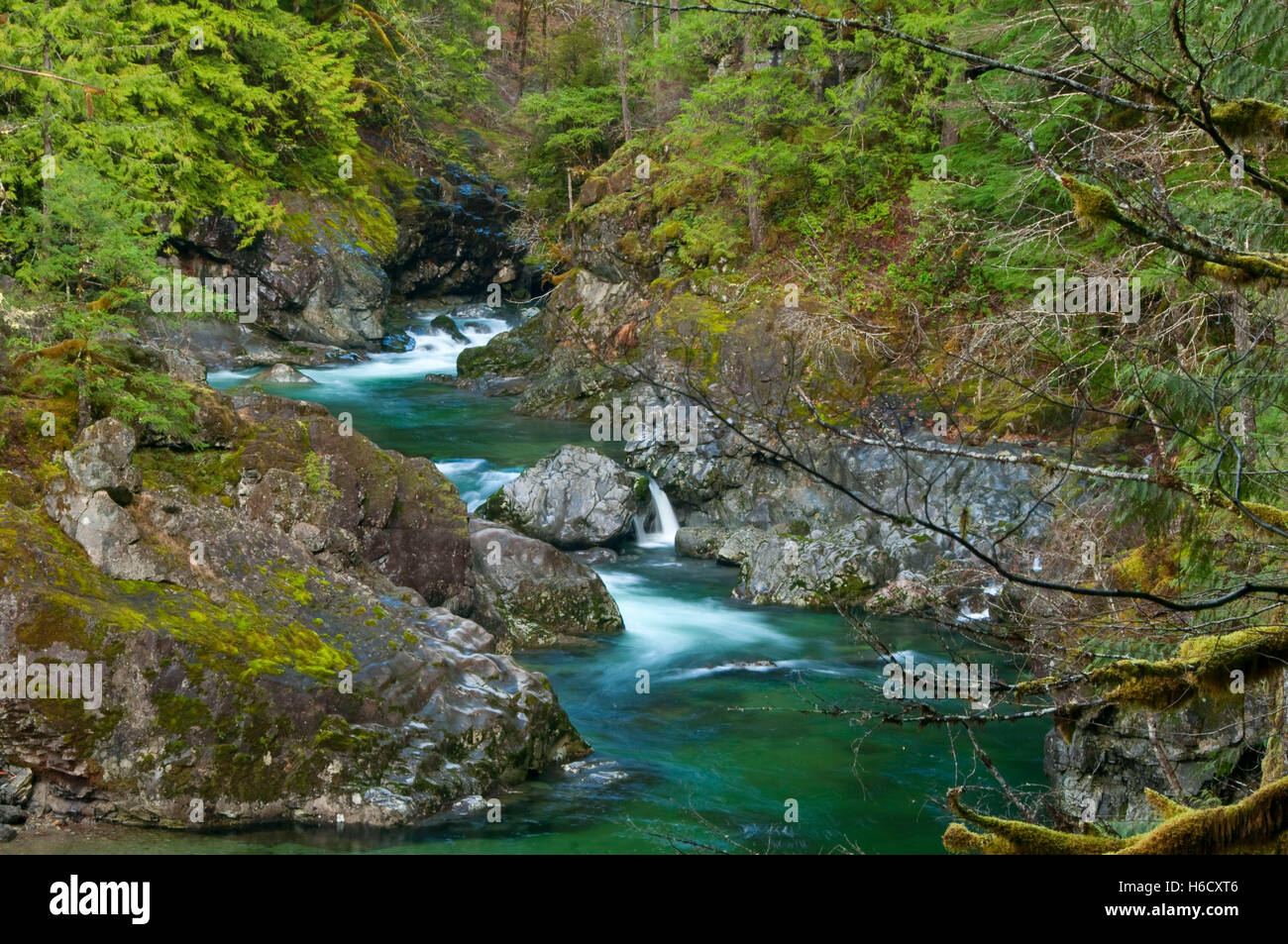 Little North Fork Santiam River State Scenic Waterway, Opal Creek