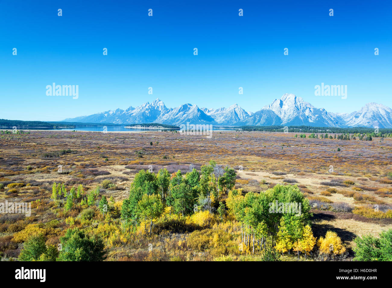 Flat field with the Teton Range rising above it in Grand Teton National Park Stock Photo