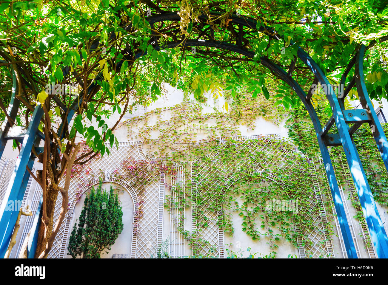 climbing plant arch with view on a wall with vintage style climbing