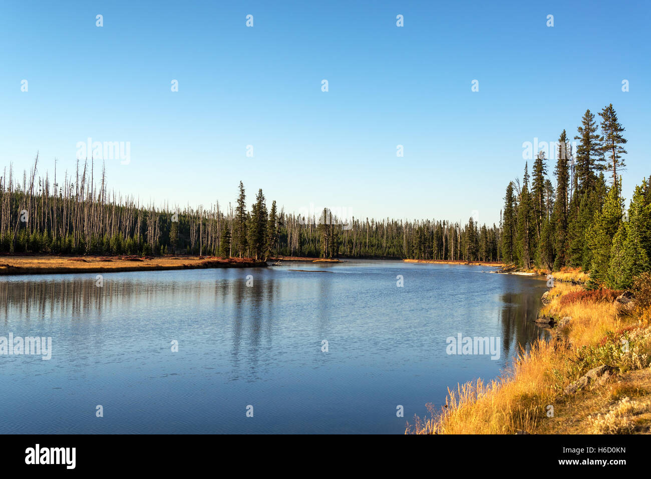 Landscape view of the Snake River in Yellowstone National Park Stock Photo