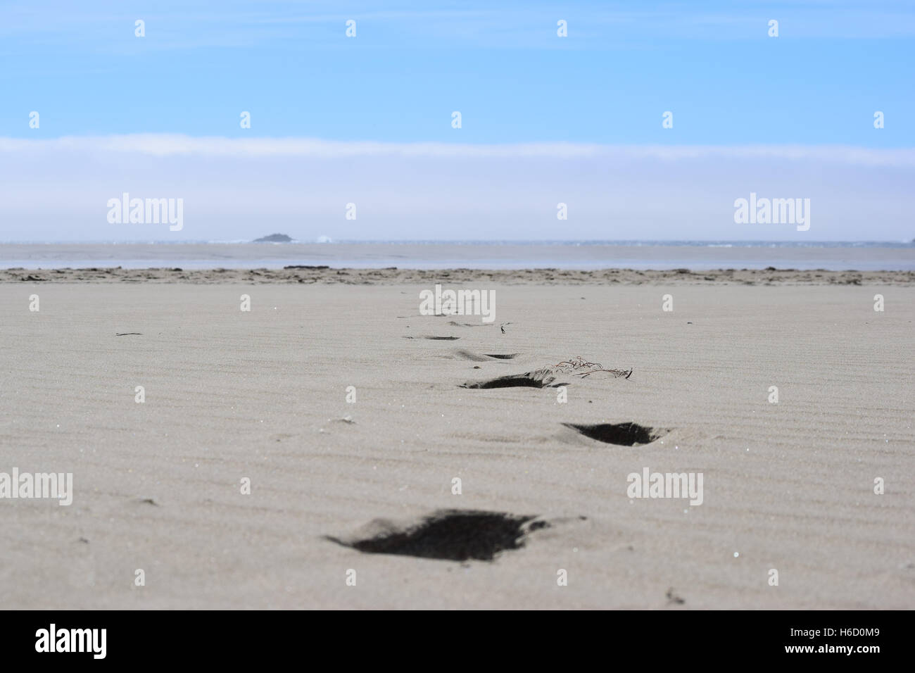 Footprints in the sand on a beach Stock Photo - Alamy