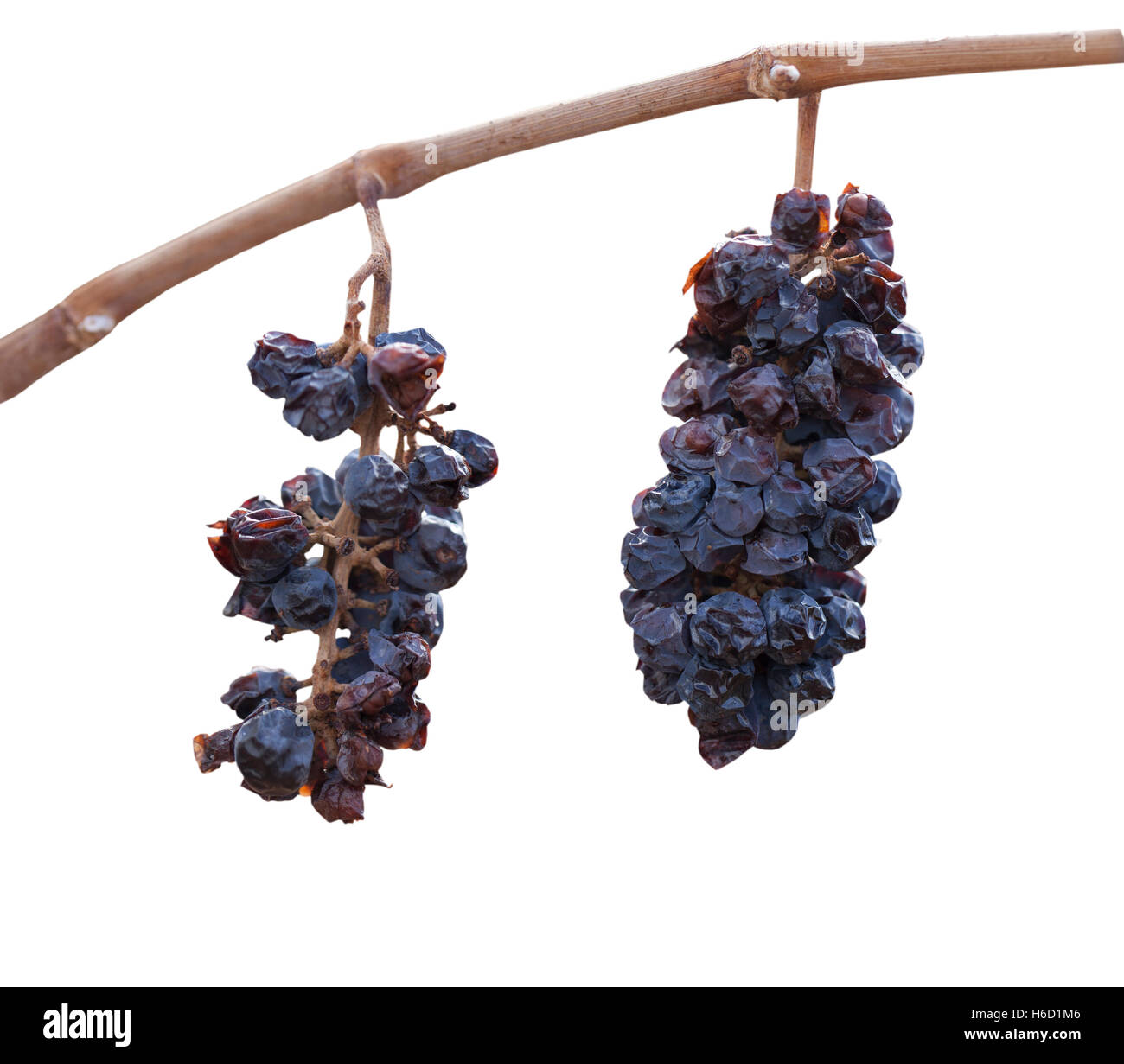 Isolated Withered Grapes Stock Photo