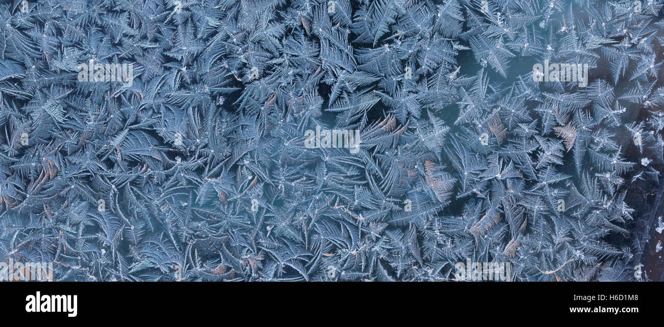 Frosty Winter Backdrop Stock Photo
