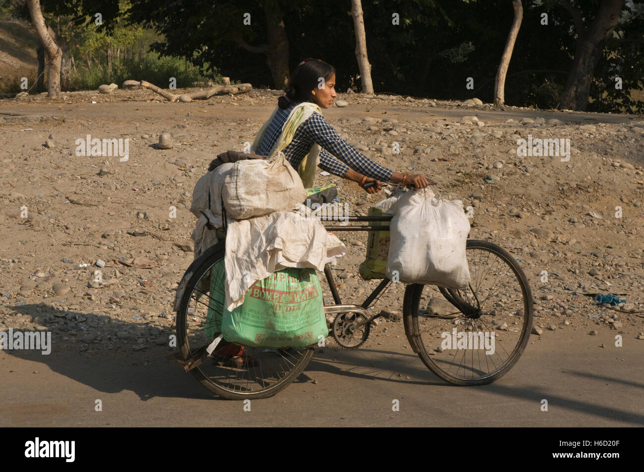 INDIA, Uttarakhand, Banbasa, overloaded cyclist on the road Stock Photo