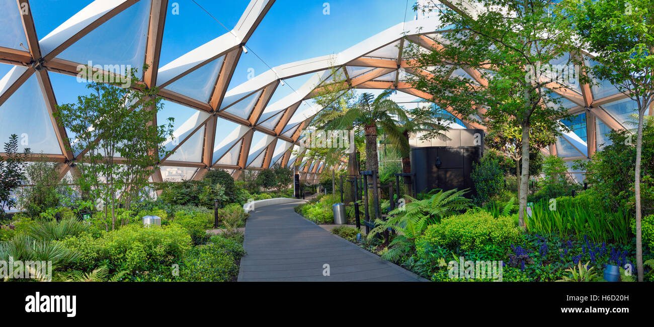 Crossrail Place roof garden above the new Crossrail train station in Canary Wharf, London, UK Stock Photo