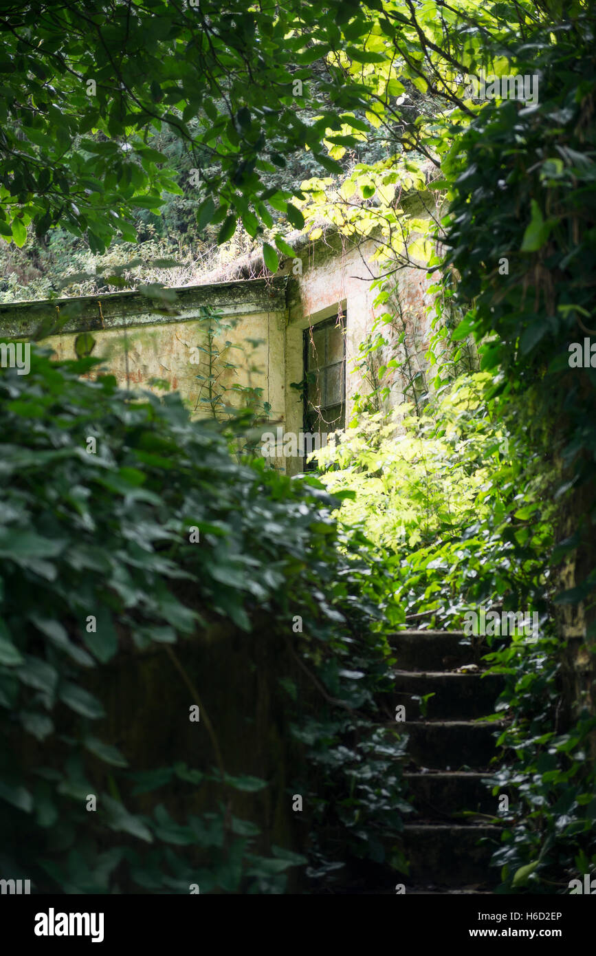 Hidden cottage on Green Mountain Ascension Island Stock Photo
