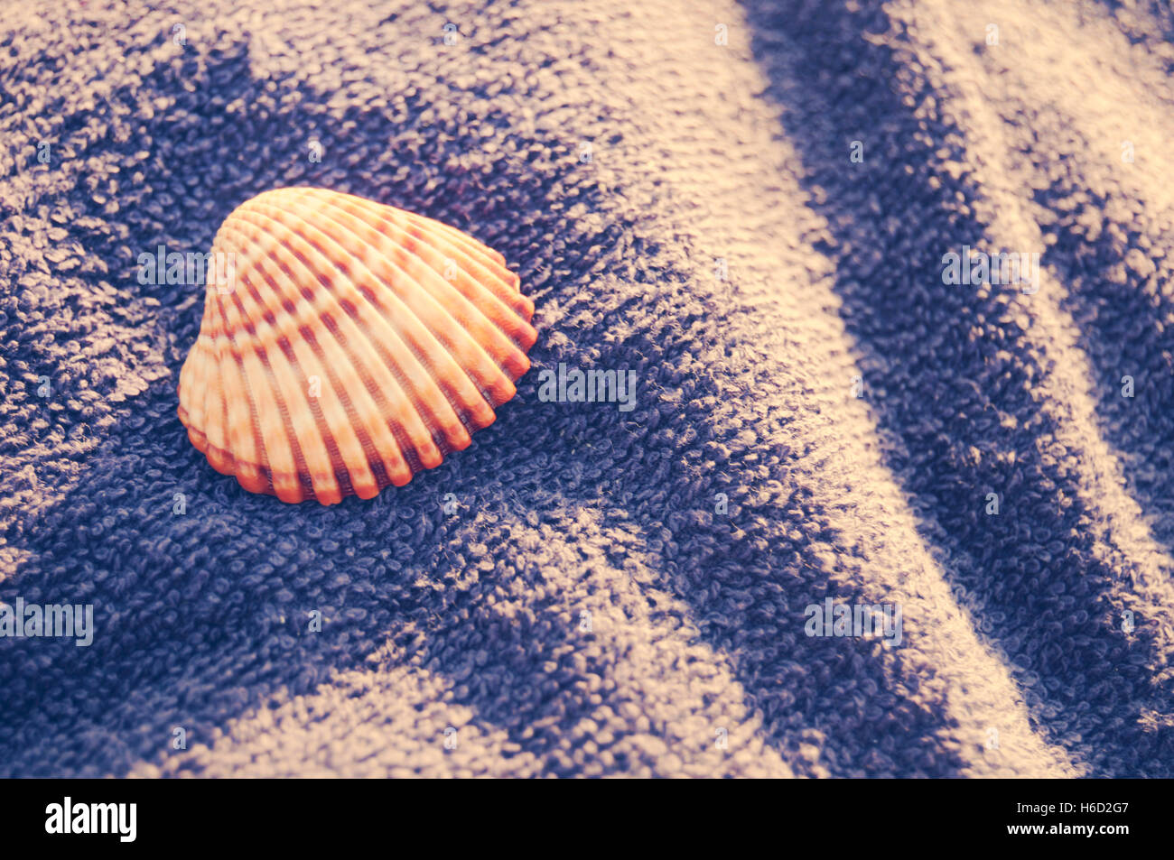 Shell resting on a towel Stock Photo