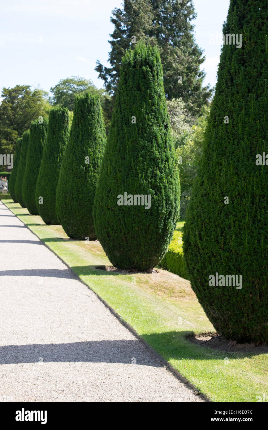 Formal Tree Lined boulevard gardens Stock Photo Alamy