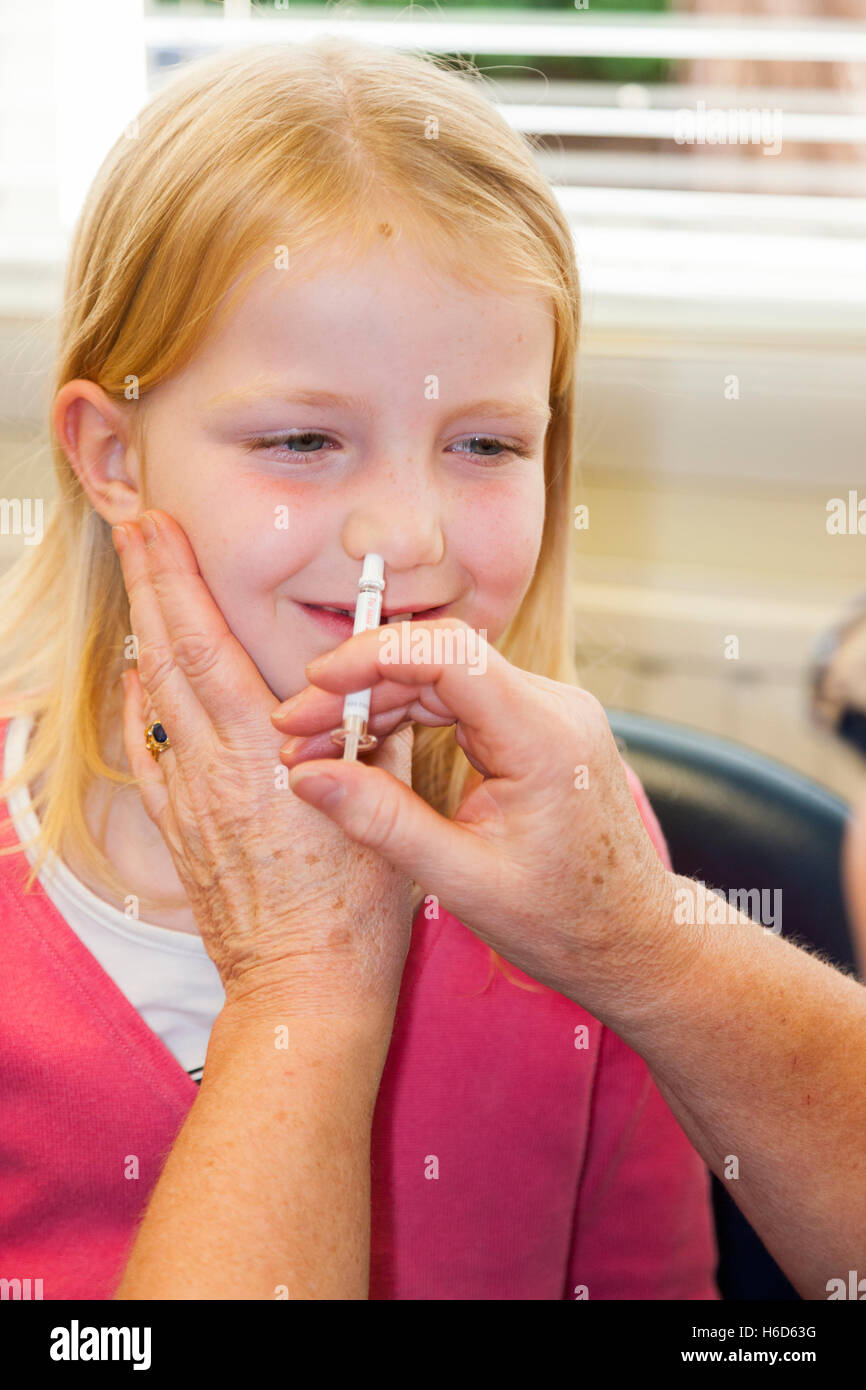 Six / 6 year old child receives dose of Fluenz flu vaccine nasal spray immunisation from NHS Practice nurse. UK. Stock Photo