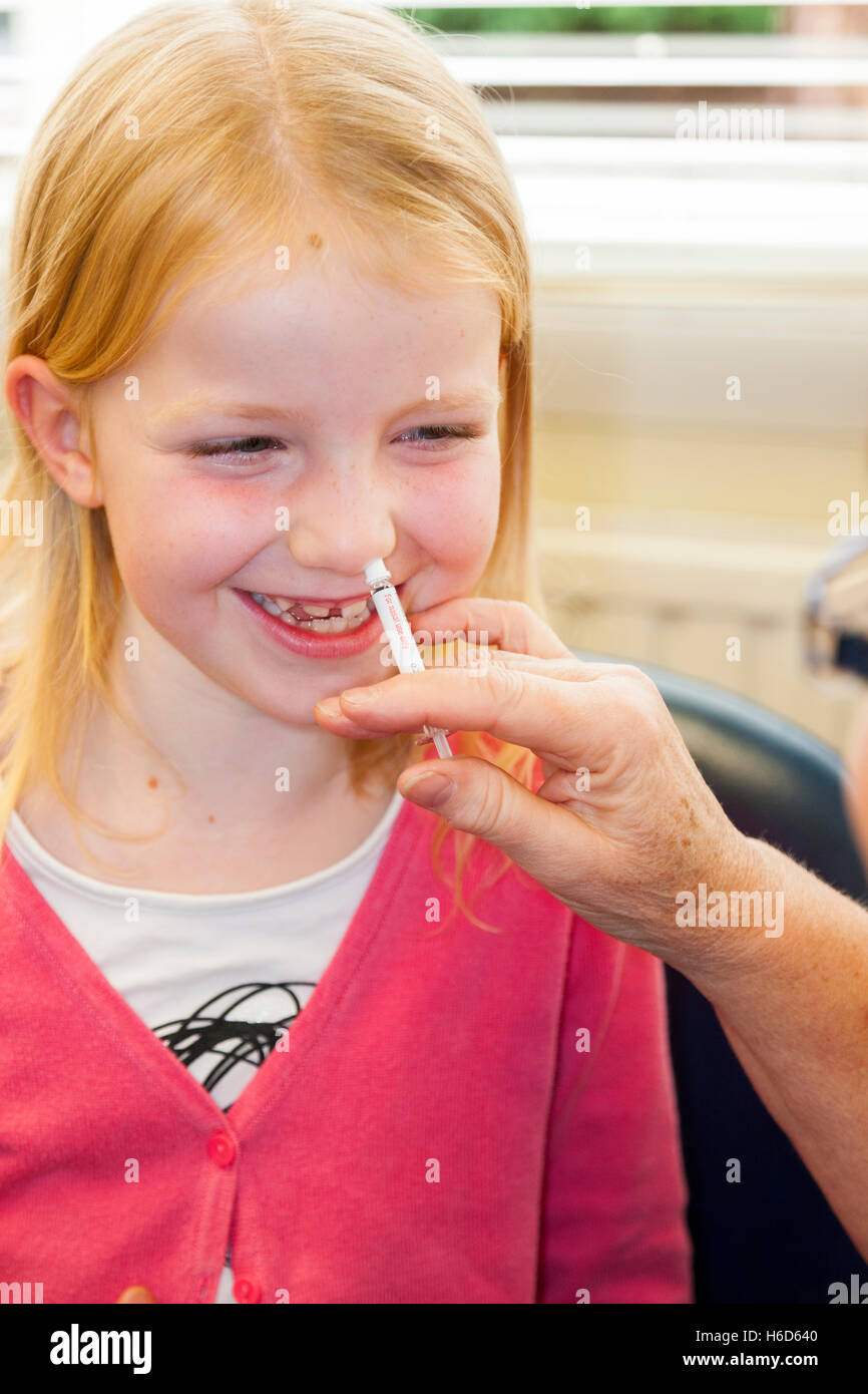 Six / 6 year old child receives dose of Fluenz flu vaccine nasal spray immunisation from NHS Practice nurse. UK. Stock Photo