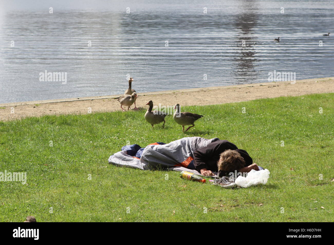 Homeless man sleeping on the lawn at the edge of the Inner Alster Stock Photo